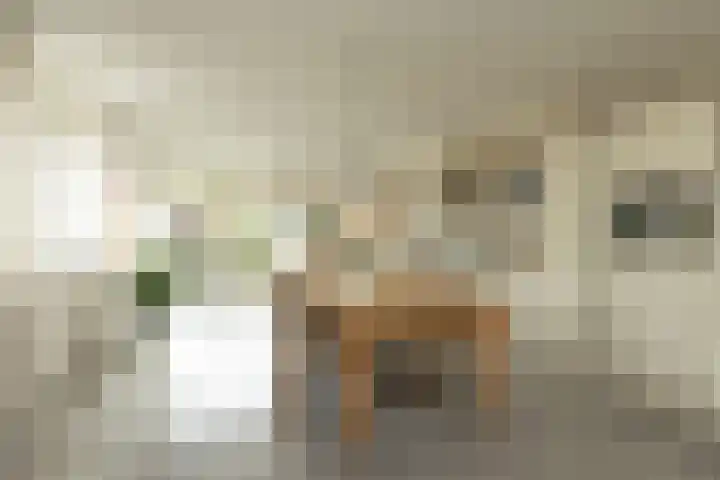 Laapersboog 4 Hilversum thumbnail 7