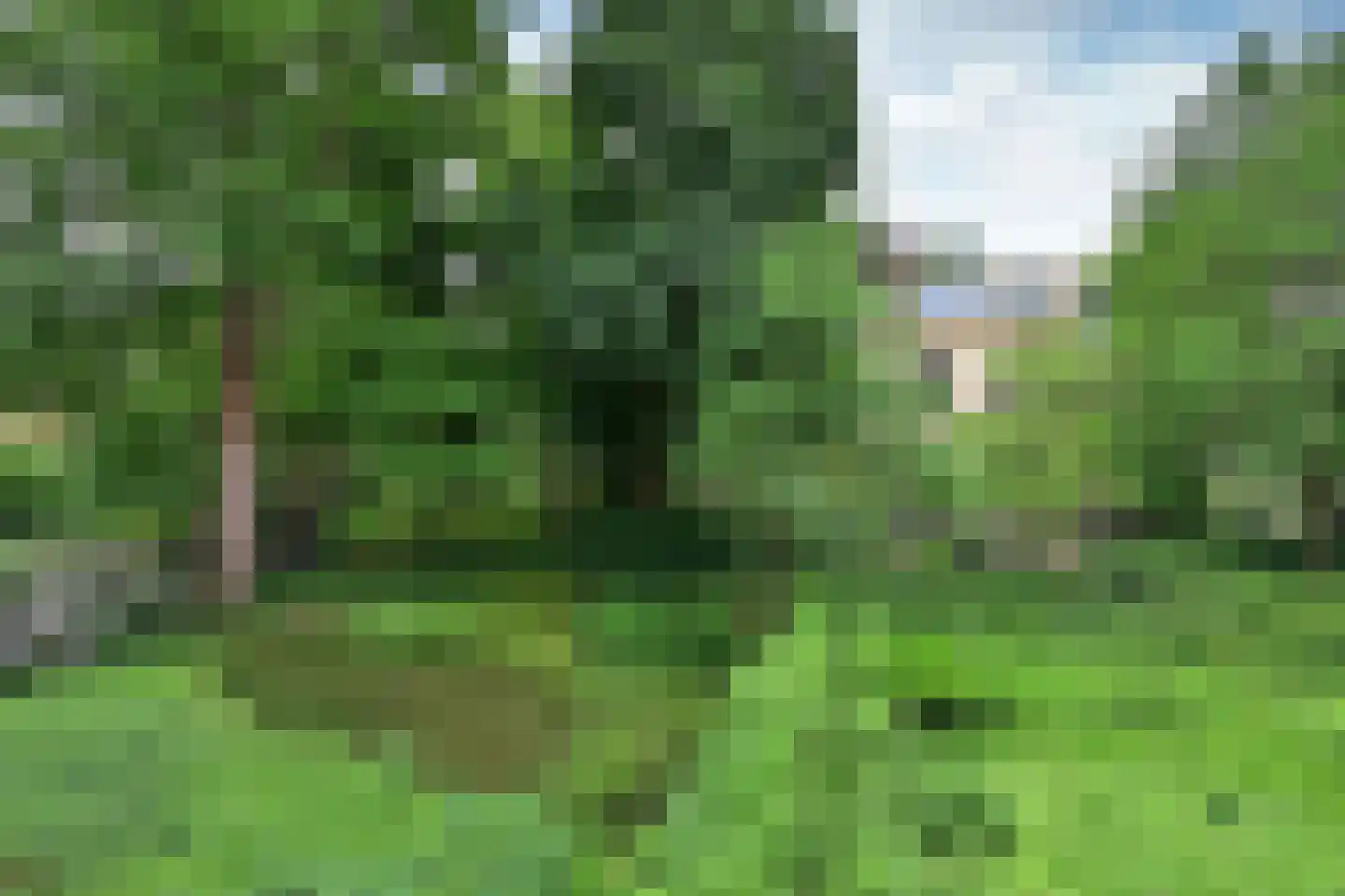 Laapersveld 24 Hilversum thumbnail 15