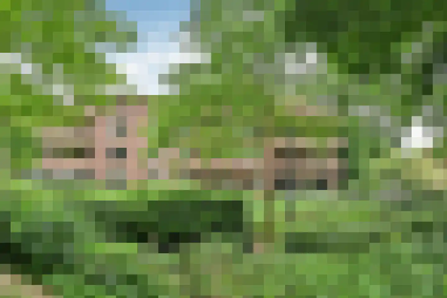 Laapersveld 24 Hilversum thumbnail 4