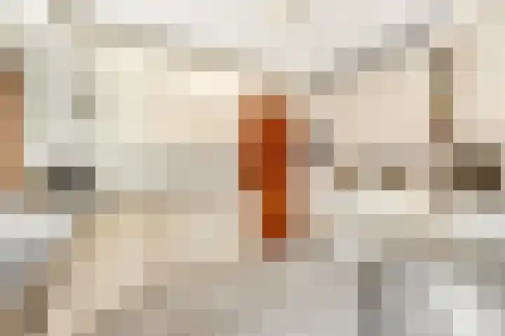 Laapersveld 48 Hilversum thumbnail 14
