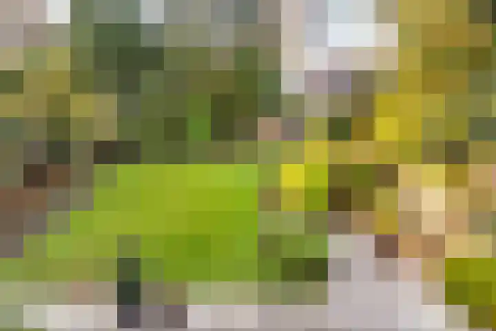Laapersveld 48 Hilversum thumbnail 4
