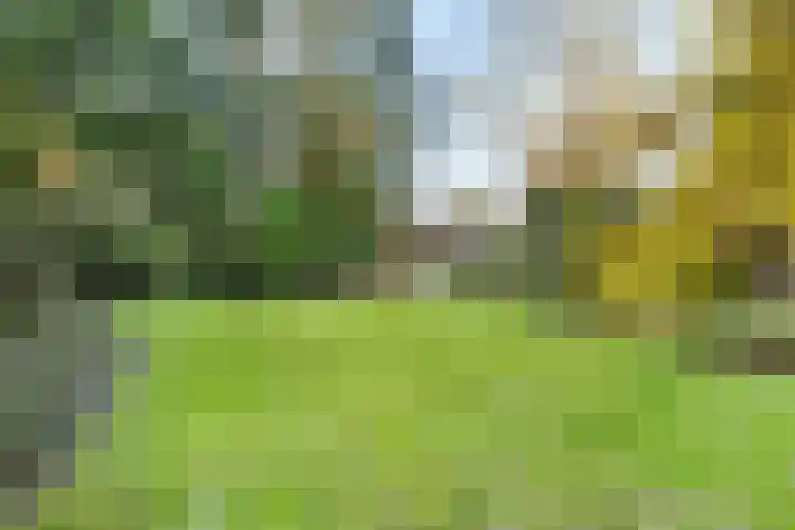 Laapersveld 48 Hilversum thumbnail 7