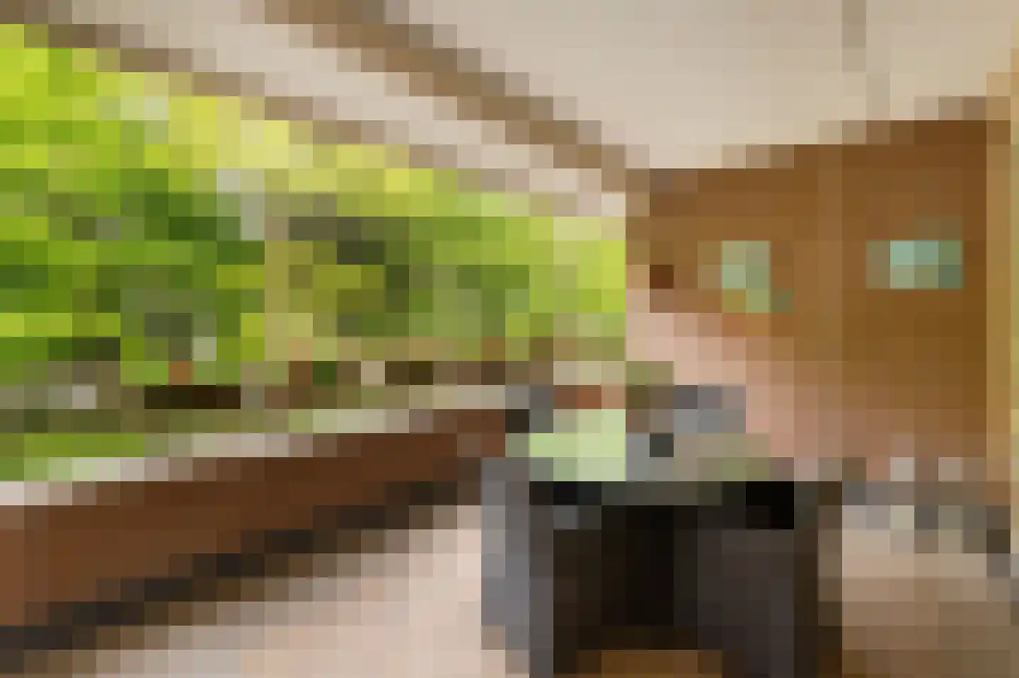 Laapersveld 6 Hilversum thumbnail 30