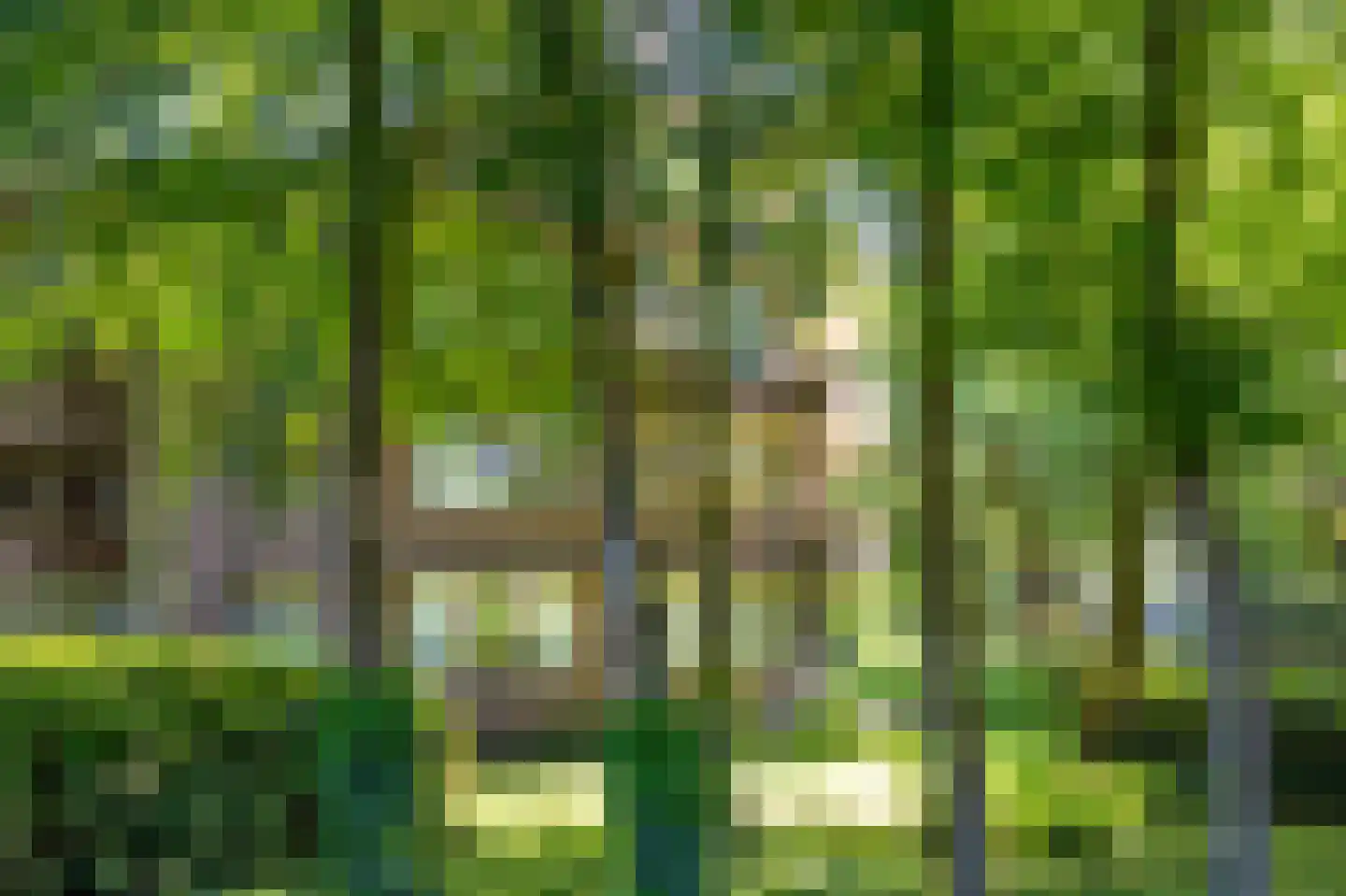 Laapersveld 6 Hilversum thumbnail 32