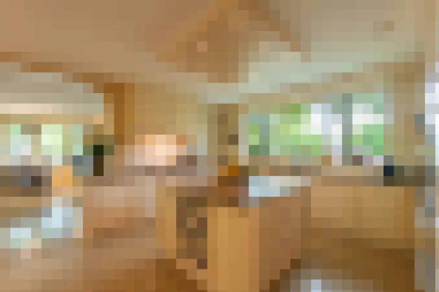 Laapersveld 6 Hilversum thumbnail 9