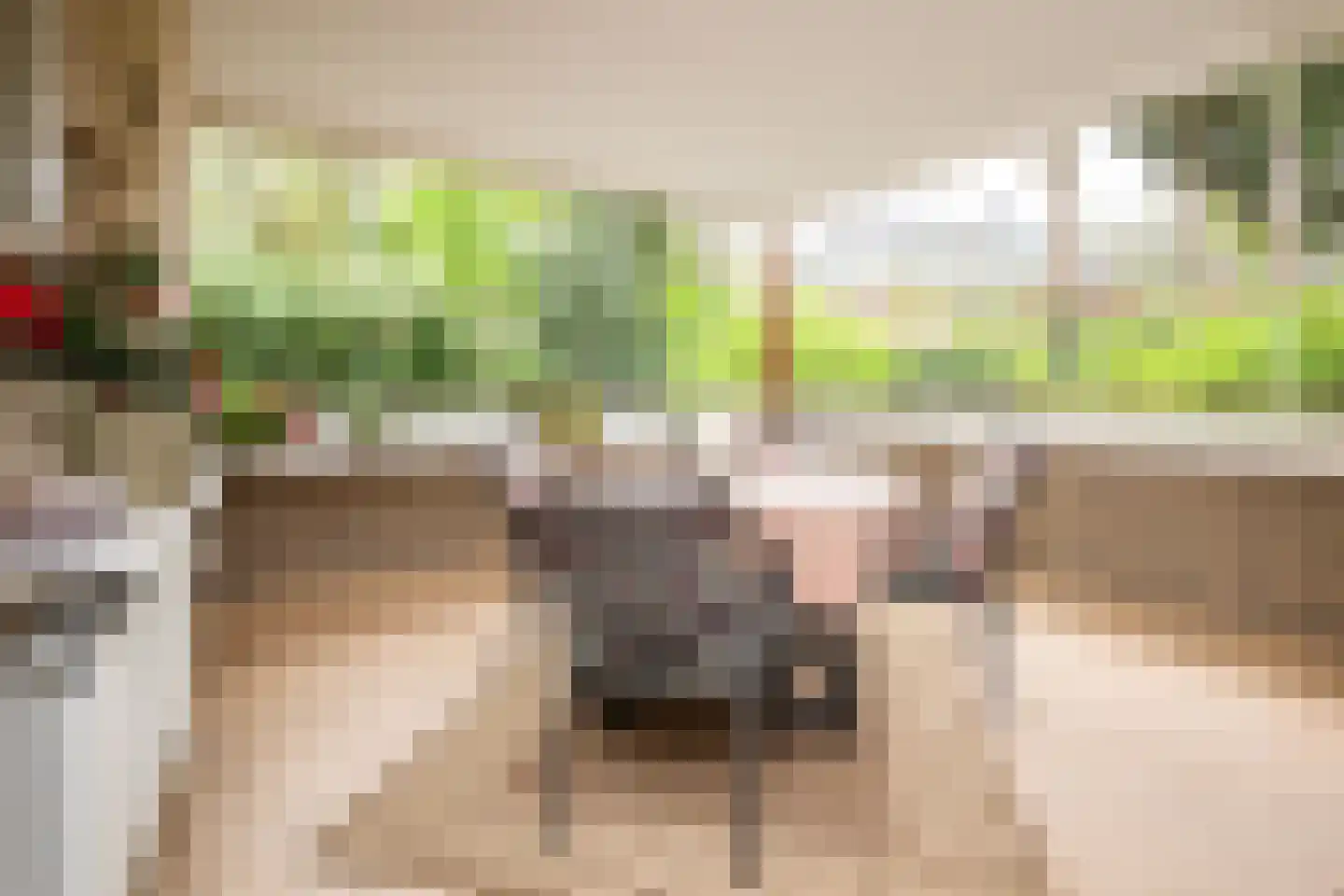 Laapersveld 62 4 Hilversum thumbnail 16