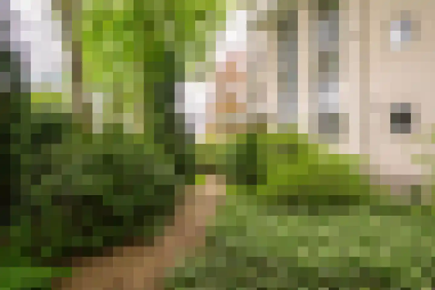 Laapersveld 62 7 Hilversum thumbnail 27