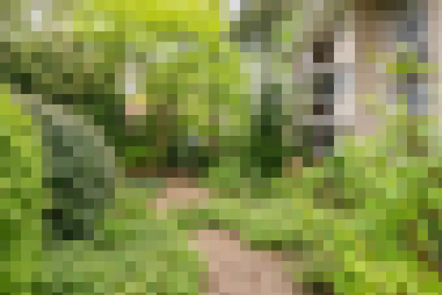 Laapersveld 62 7 Hilversum thumbnail 28