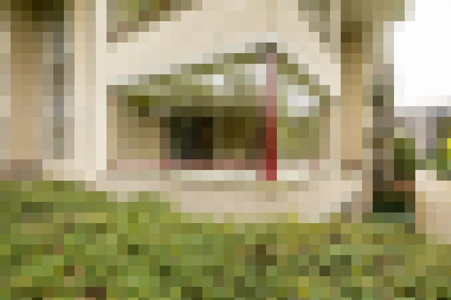 Laapersveld 62 7 Hilversum thumbnail 36