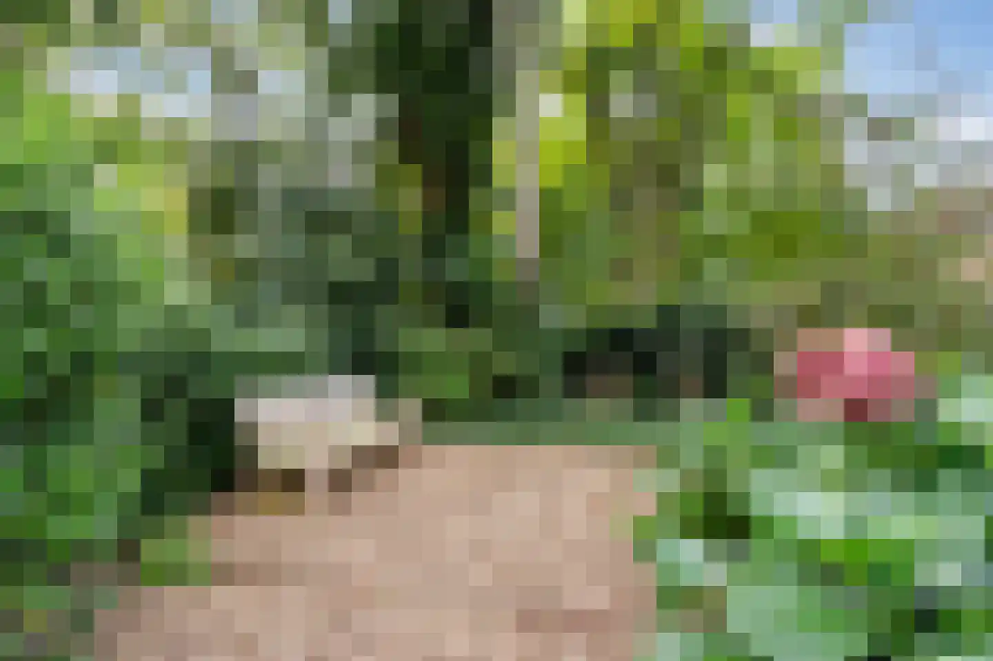 Laapersveld 62 8 Hilversum thumbnail 24