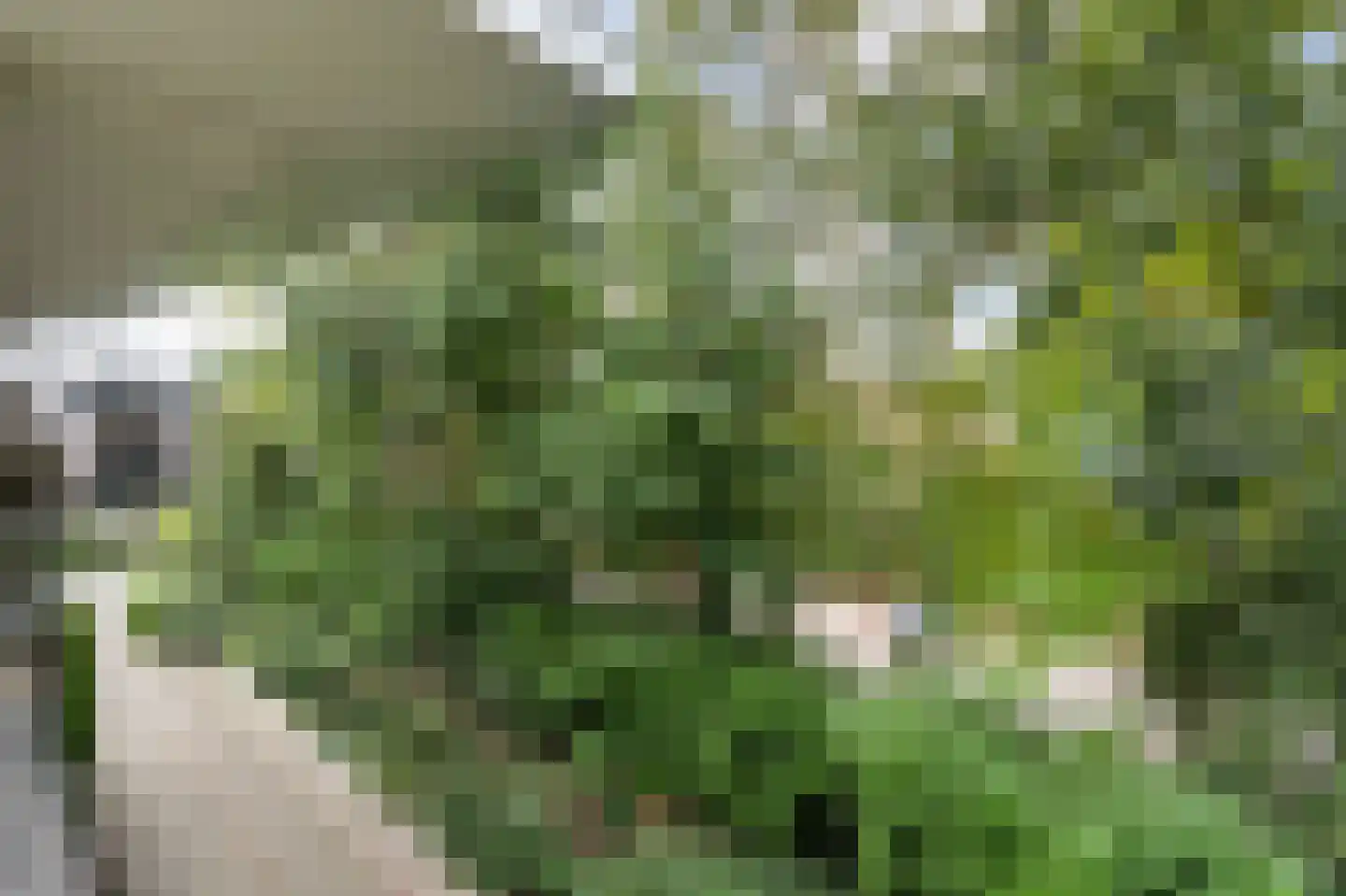 Laapersveld 62 8 Hilversum thumbnail 25