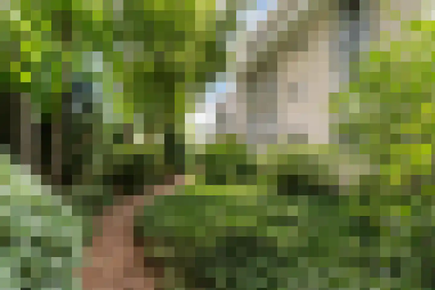 Laapersveld 62 8 Hilversum thumbnail 27