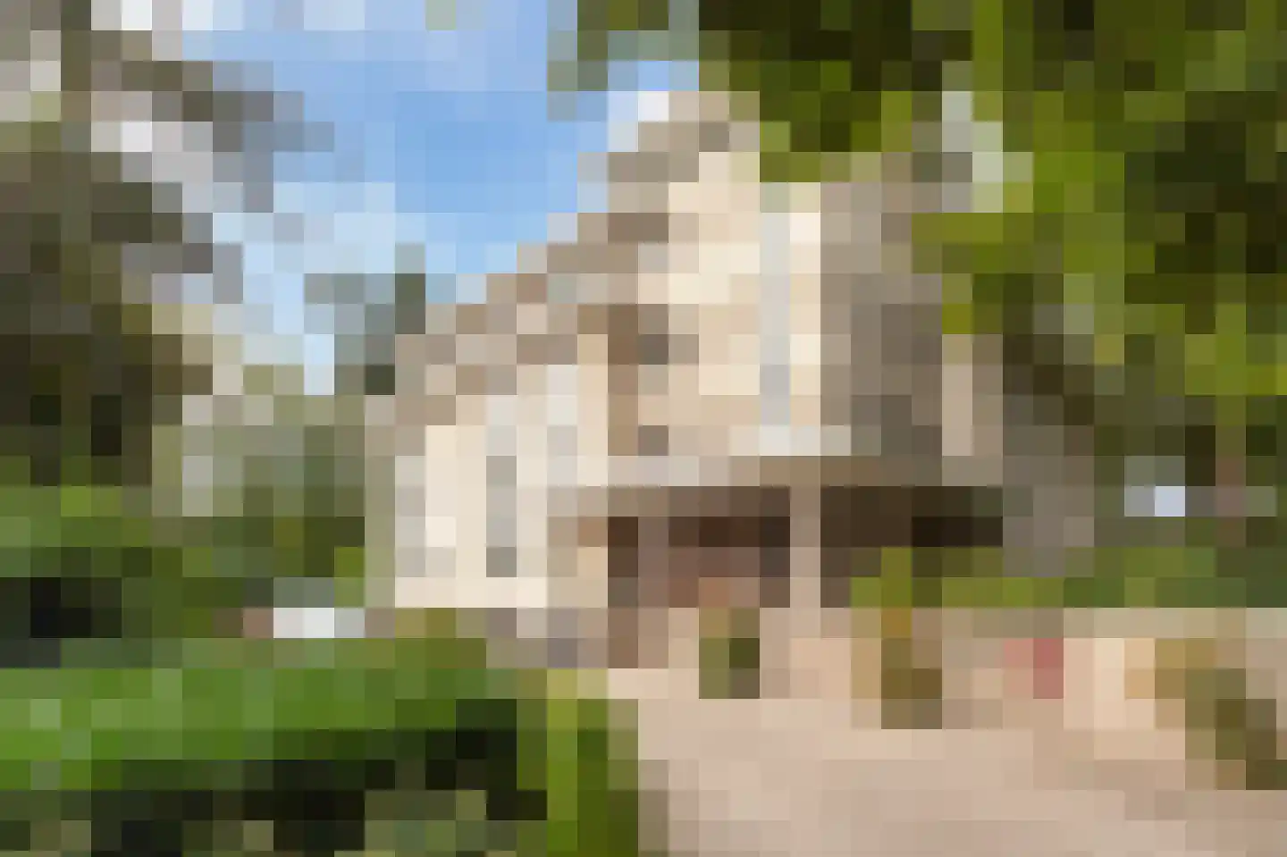 Laapersveld 62 8 Hilversum thumbnail 28