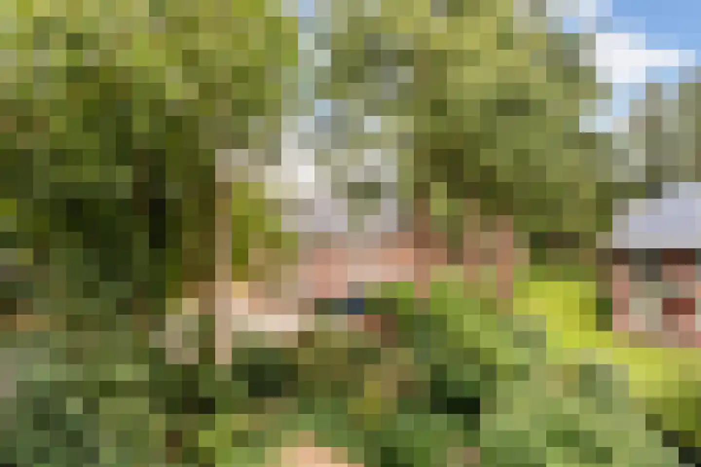 Laapersveld 62 8 Hilversum thumbnail 35
