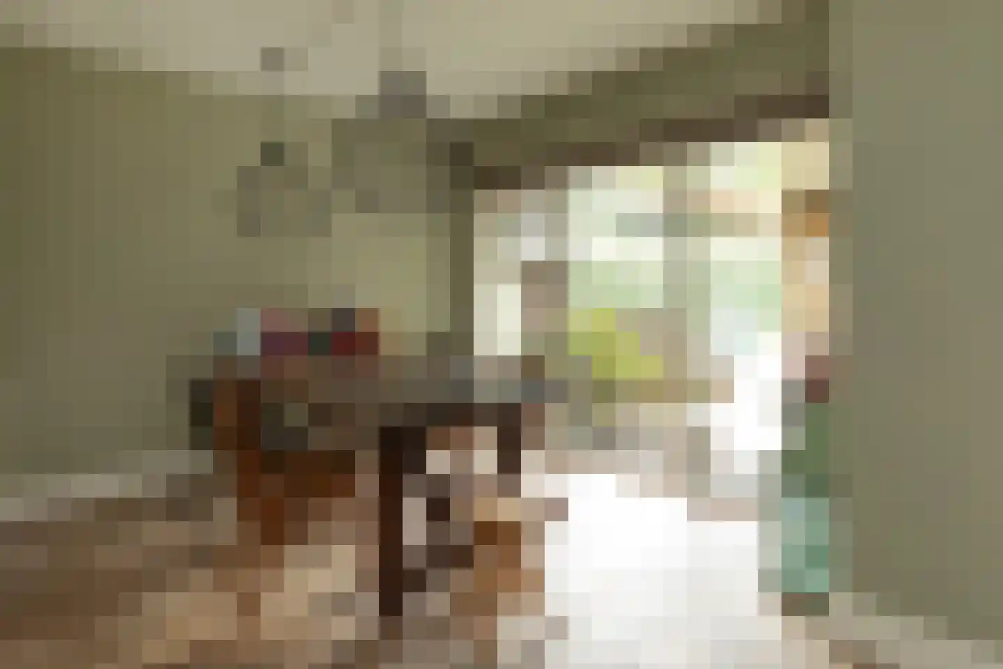 Laapersweg 3 Hilversum thumbnail 16