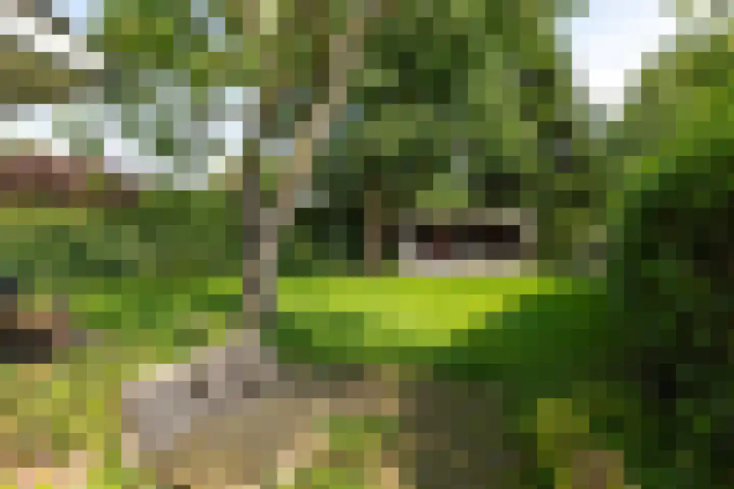 Laapersweg 3 Hilversum thumbnail 41
