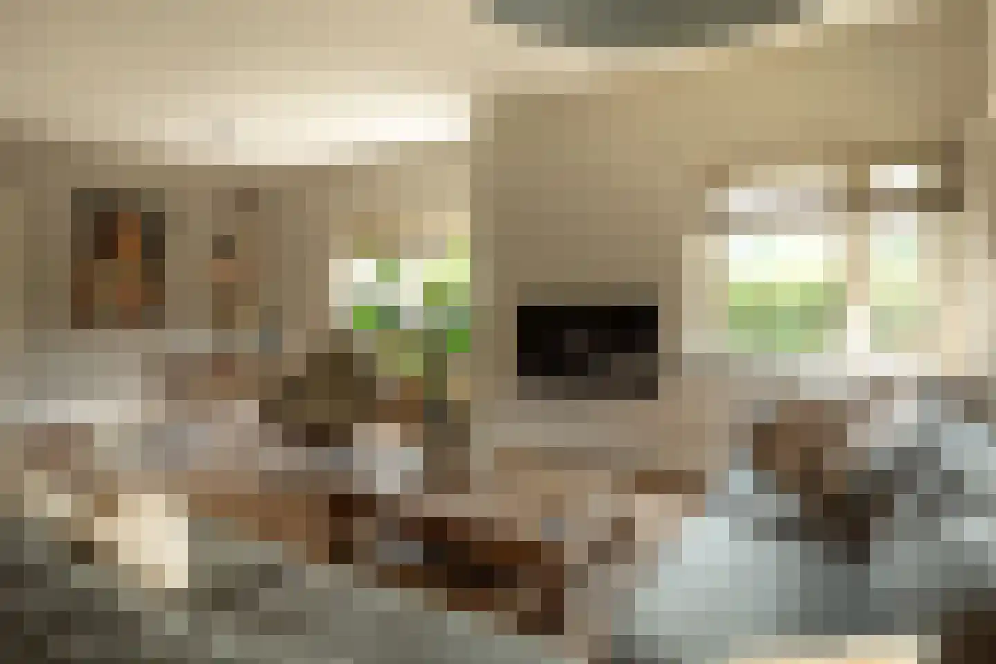 Laapersweg 3 Hilversum thumbnail 6