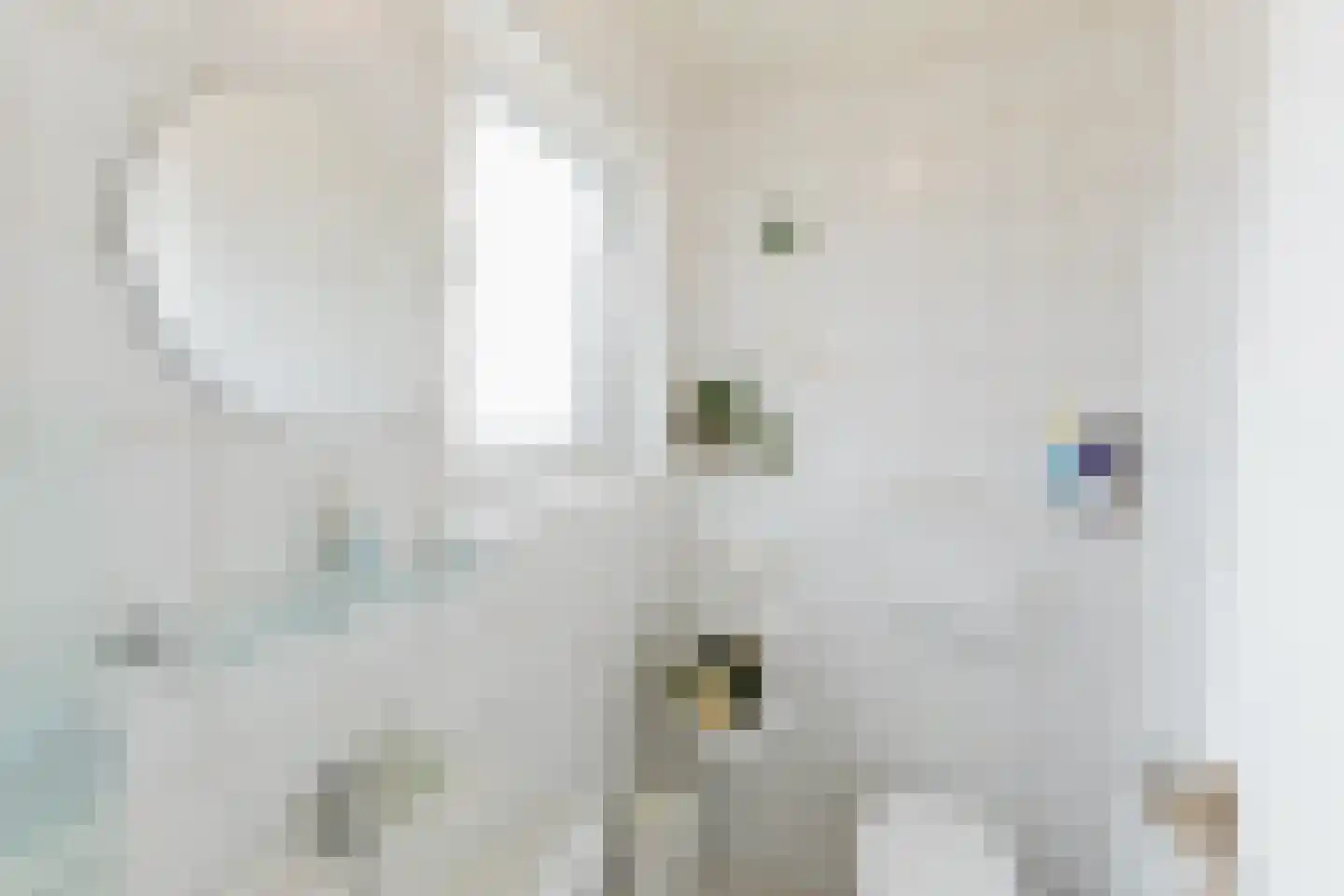 Laar 14 Bladel thumbnail 13