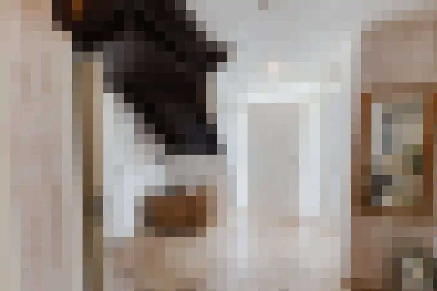 Laar 14 Bladel thumbnail 18