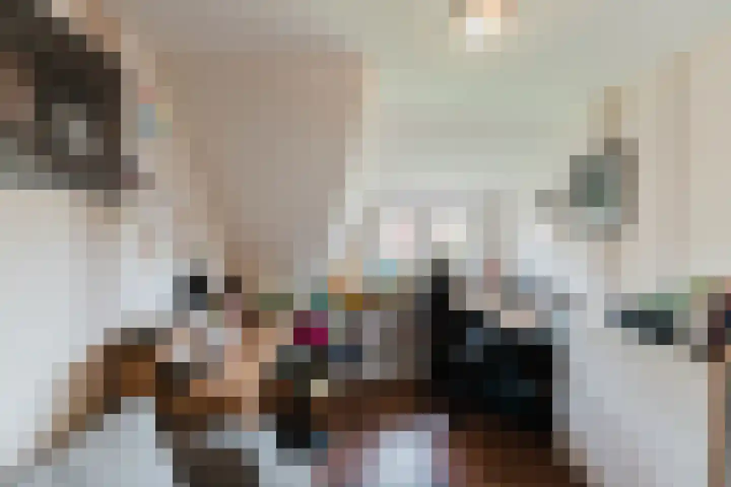 Laar 14 Bladel thumbnail 24