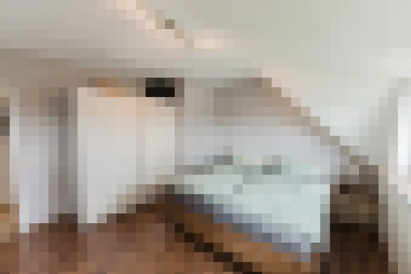 Laar 14 Bladel thumbnail 27