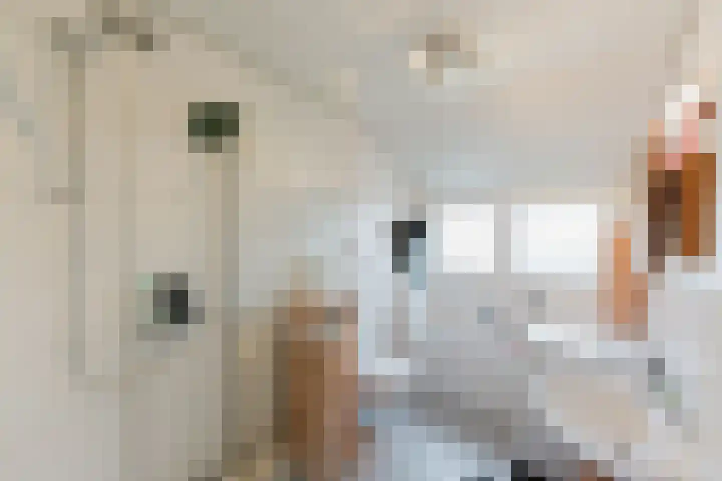 Laar 14 Bladel thumbnail 29