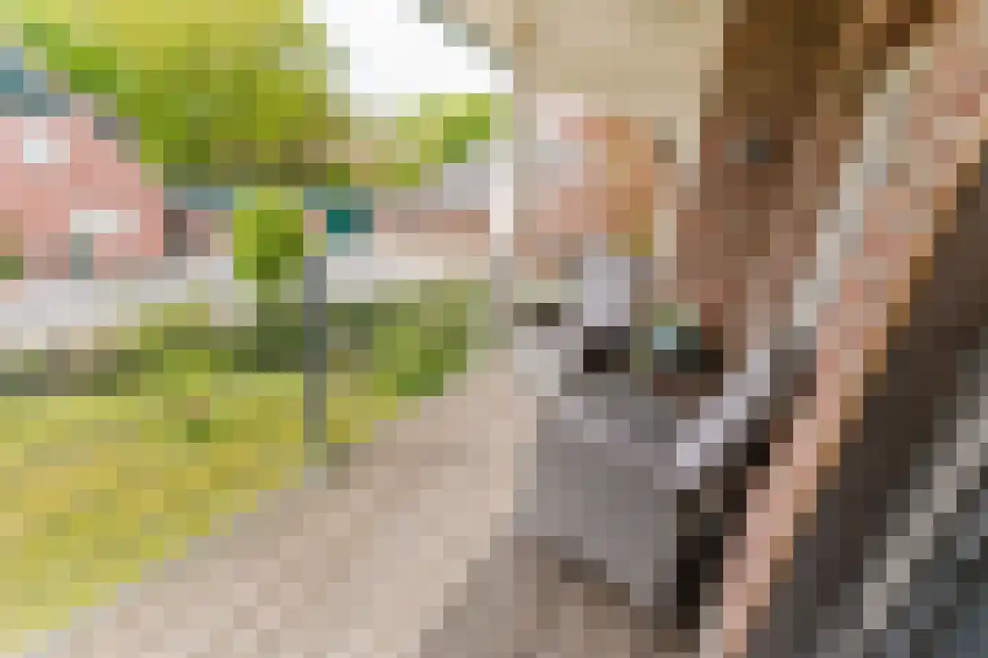 Laar 14 Bladel thumbnail 31