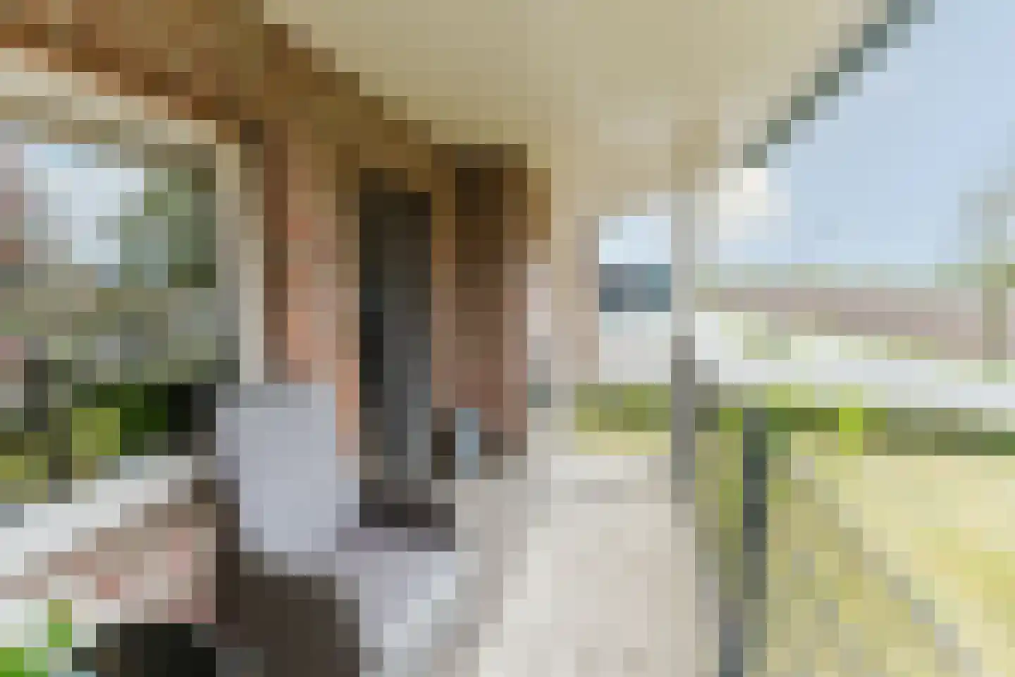 Laar 14 Bladel thumbnail 32