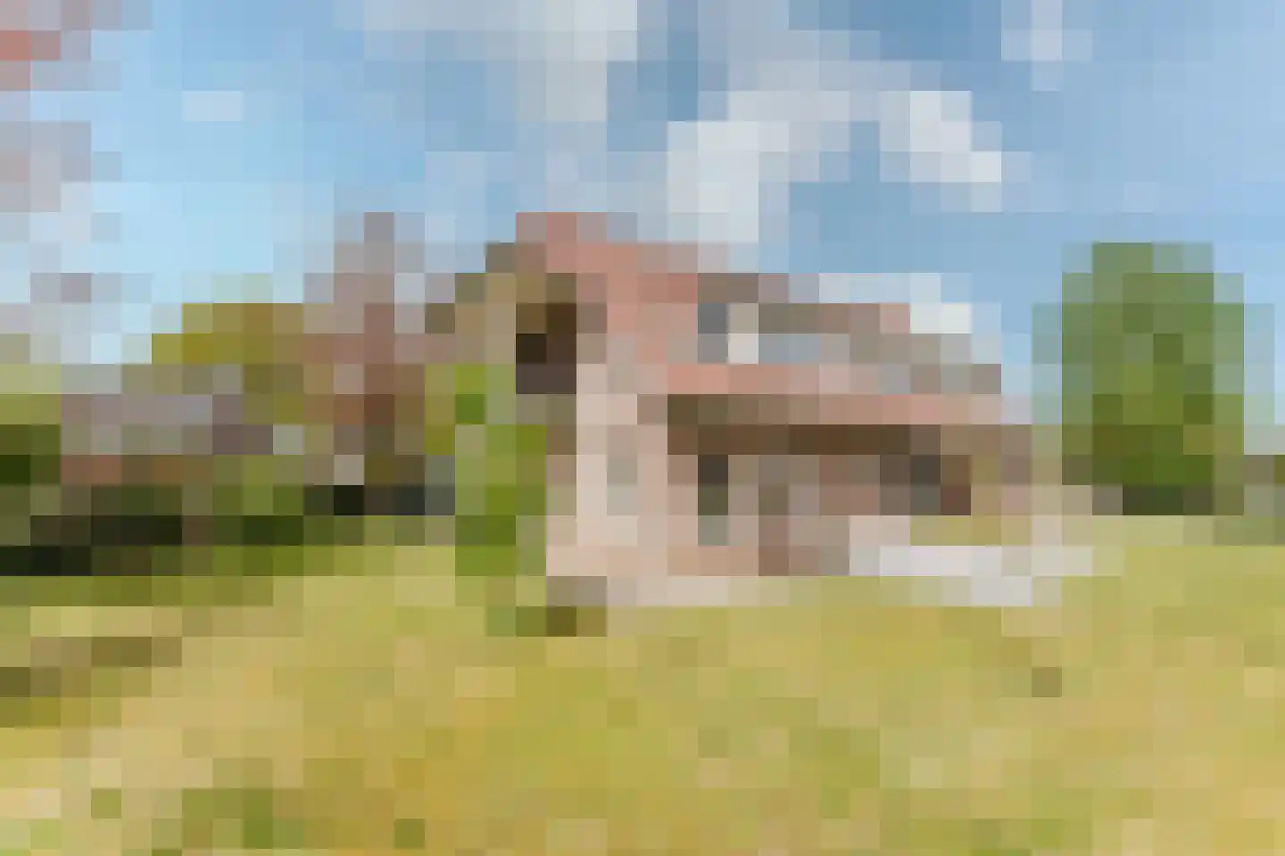 Laar 14 Bladel thumbnail 37