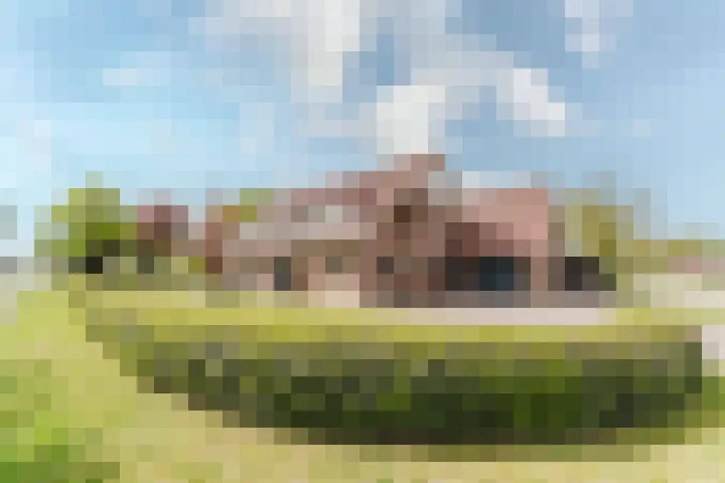 Laar 14 Bladel thumbnail 39