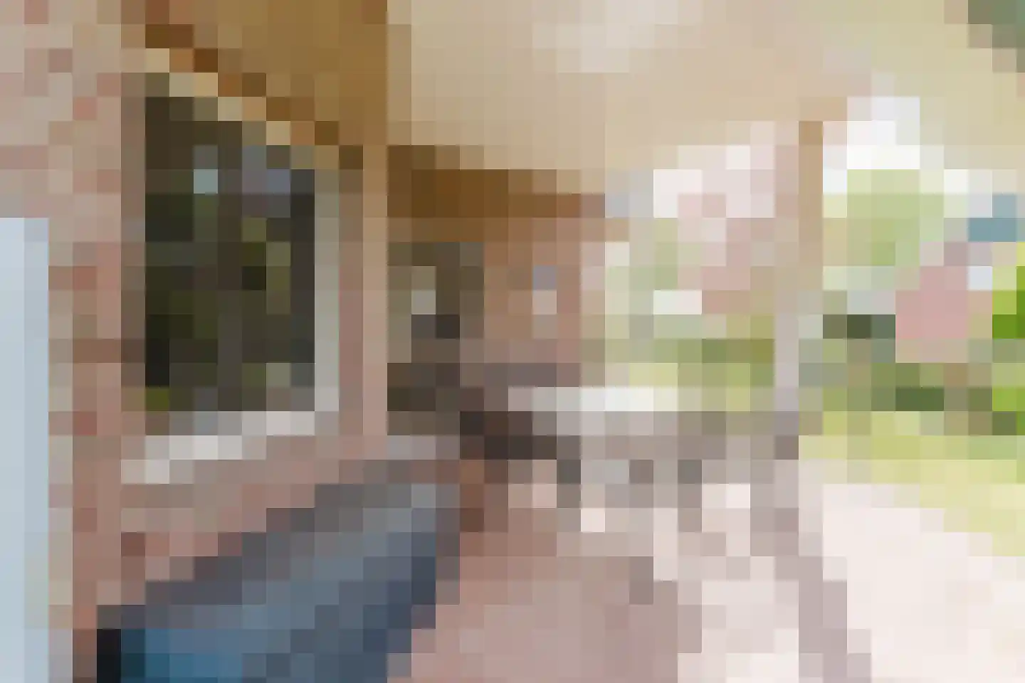 Laar 14 Bladel thumbnail 40