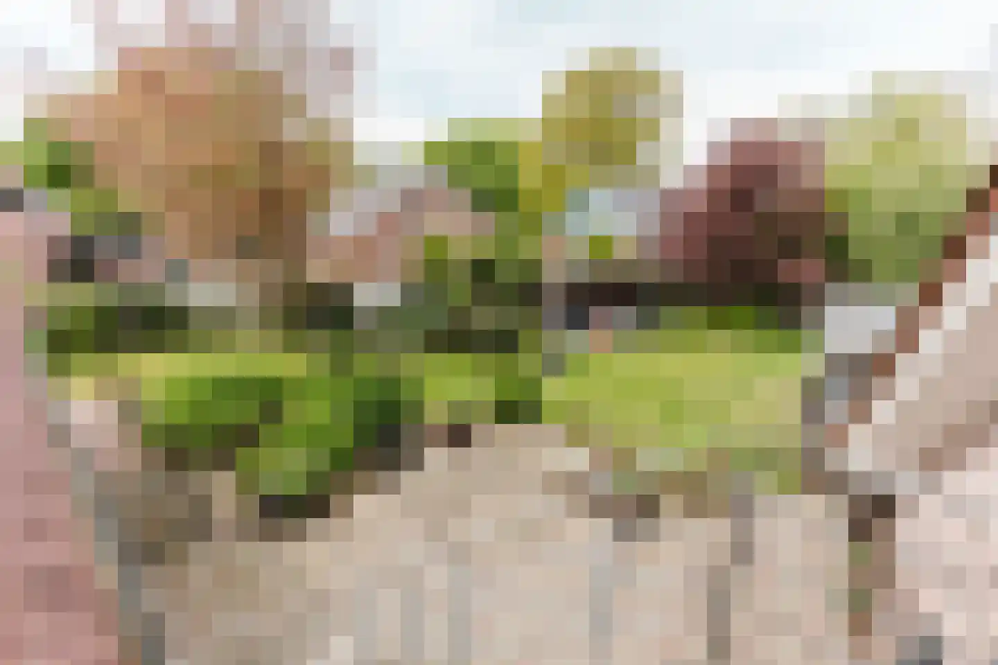 Laar 14 Bladel thumbnail 42