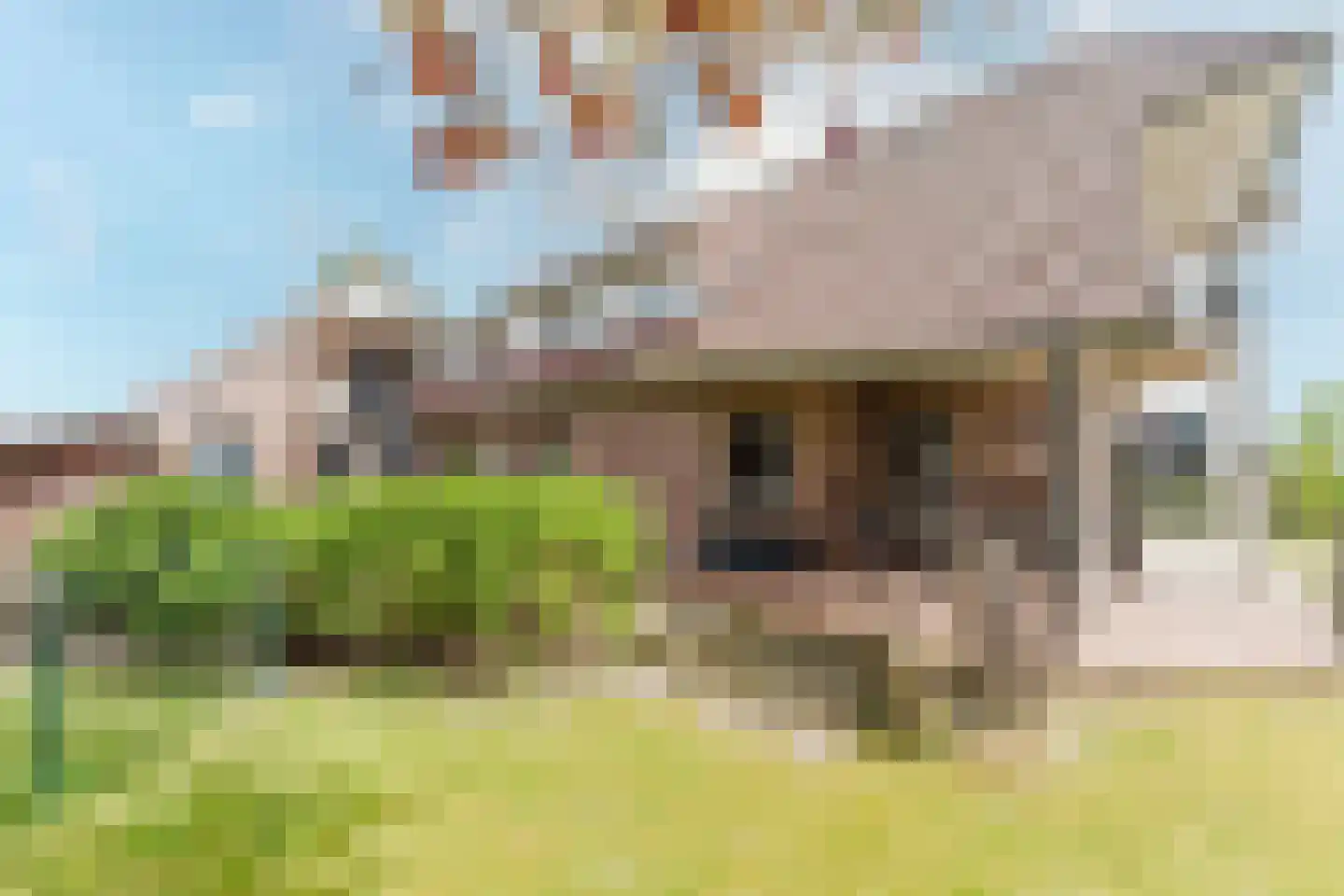 Laar 14 Bladel thumbnail 44
