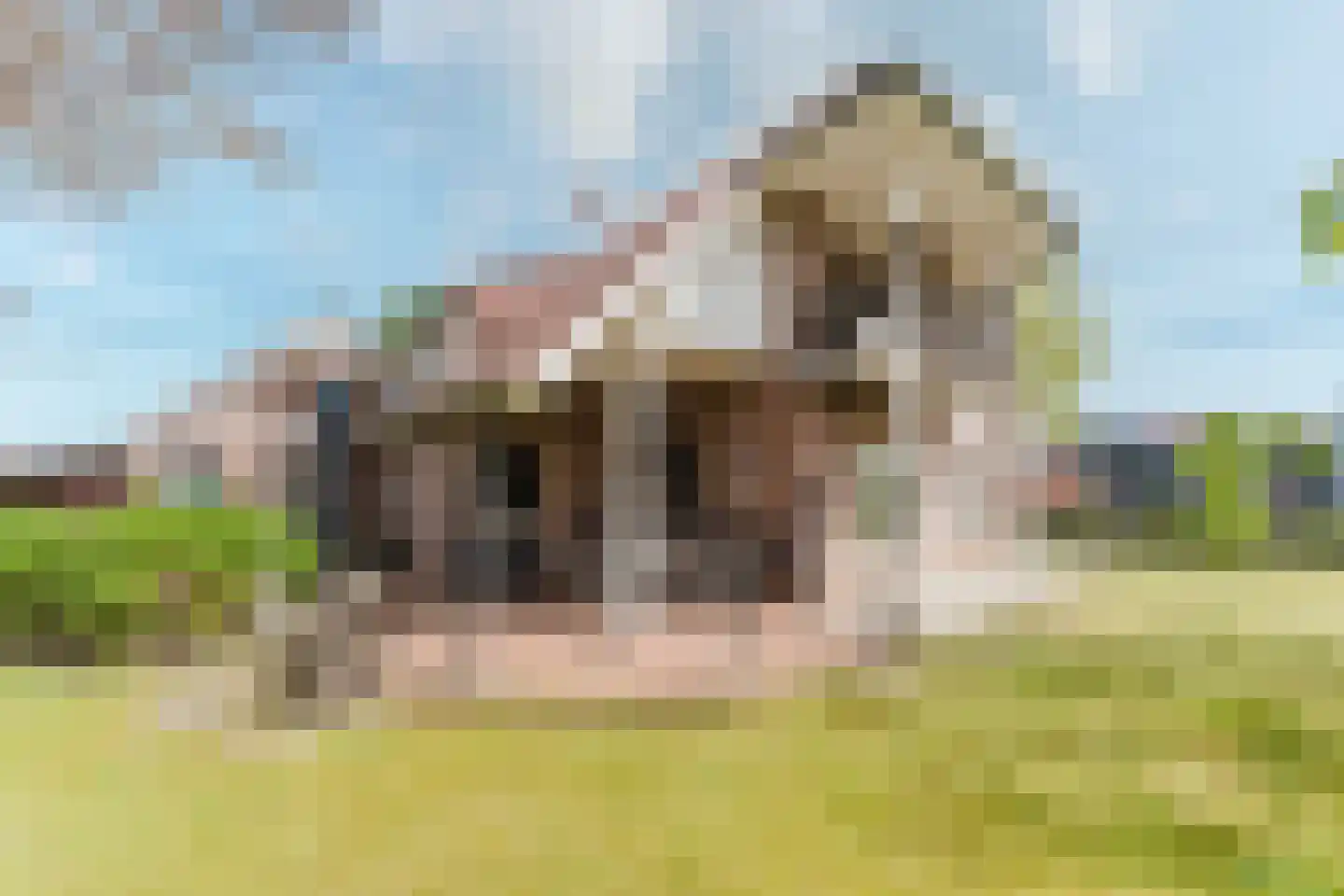 Laar 14 Bladel thumbnail 45