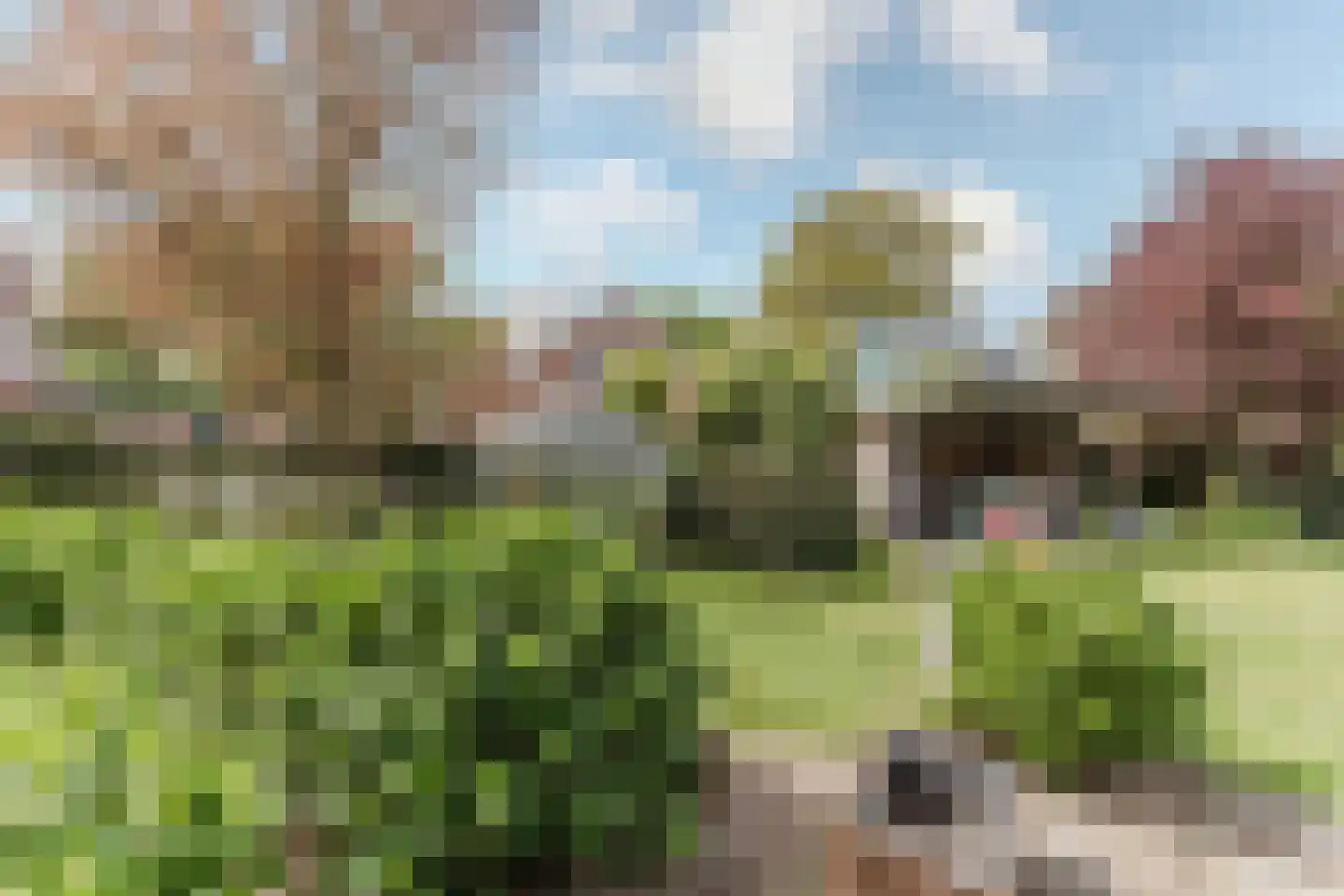Laar 14 Bladel thumbnail 47