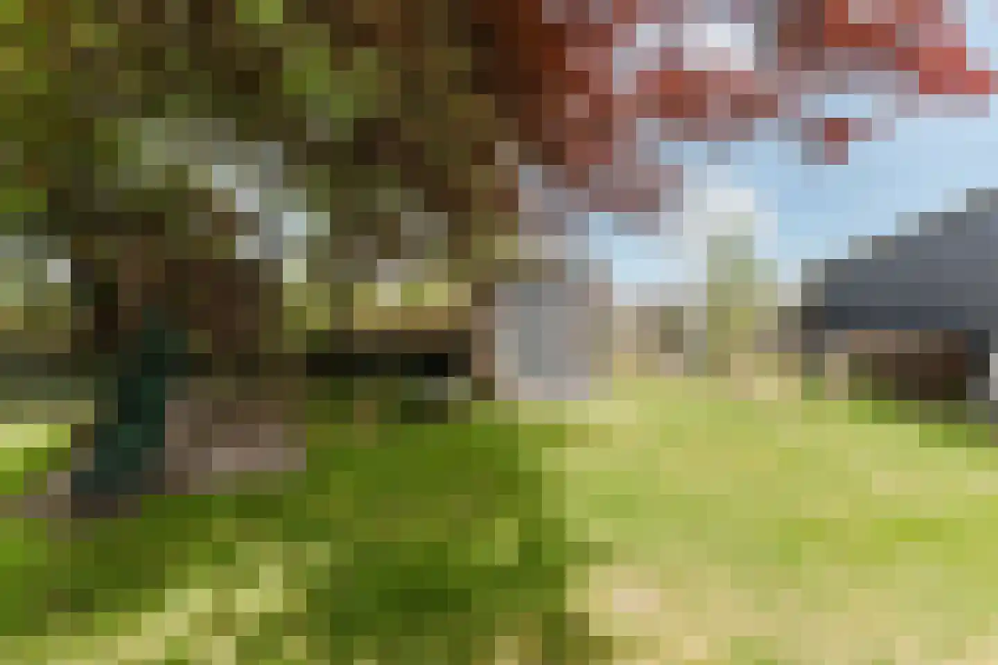 Laar 14 Bladel thumbnail 48