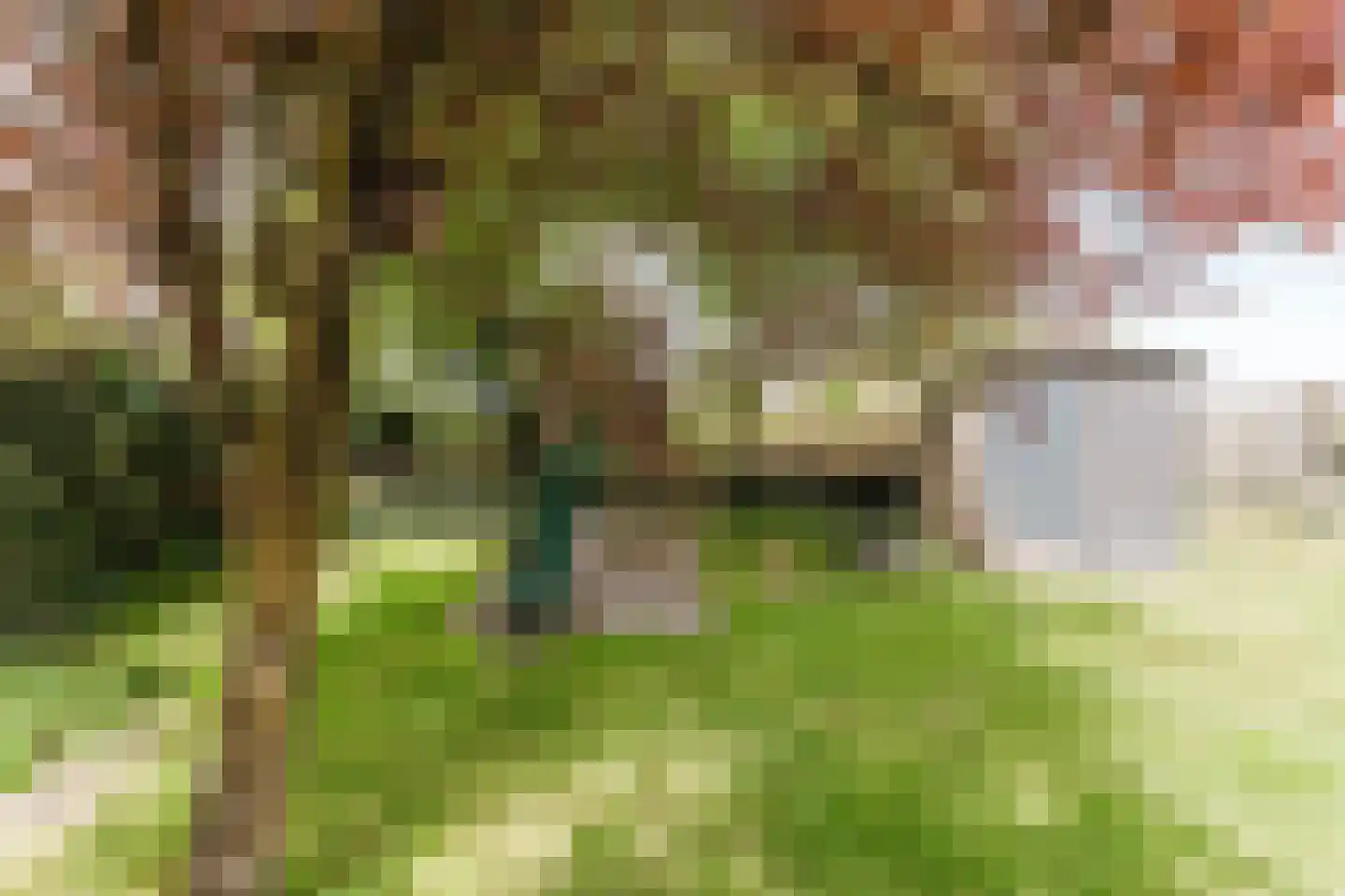Laar 14 Bladel thumbnail 50