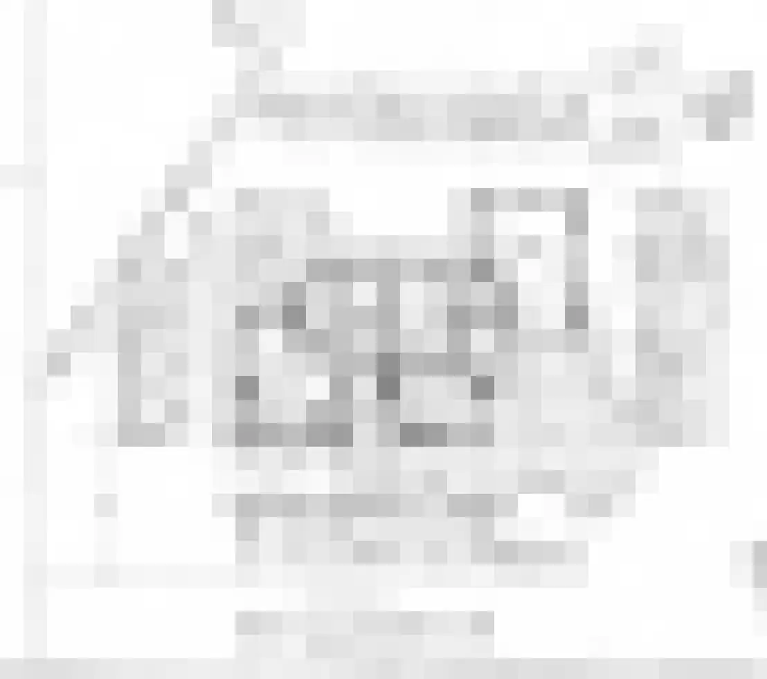 Laar 14 Bladel thumbnail 56