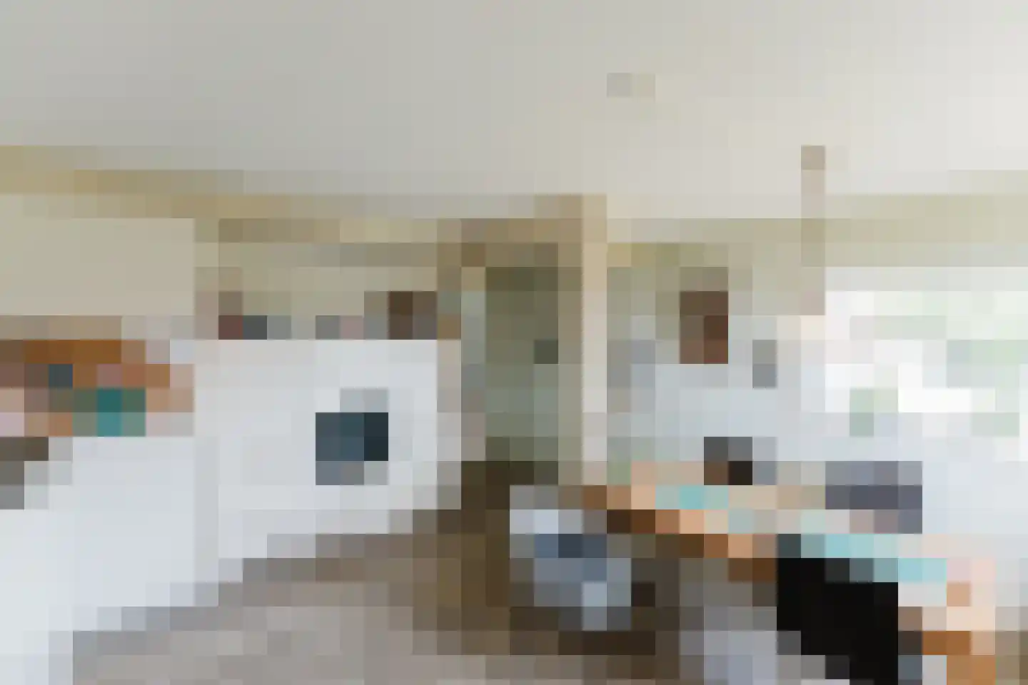 Laar 14 Bladel thumbnail 6