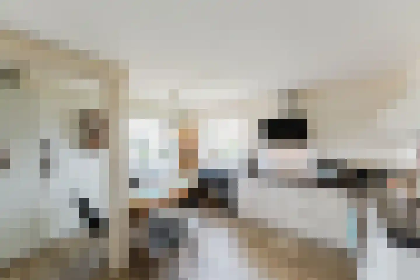 Laar 14 Bladel thumbnail 7