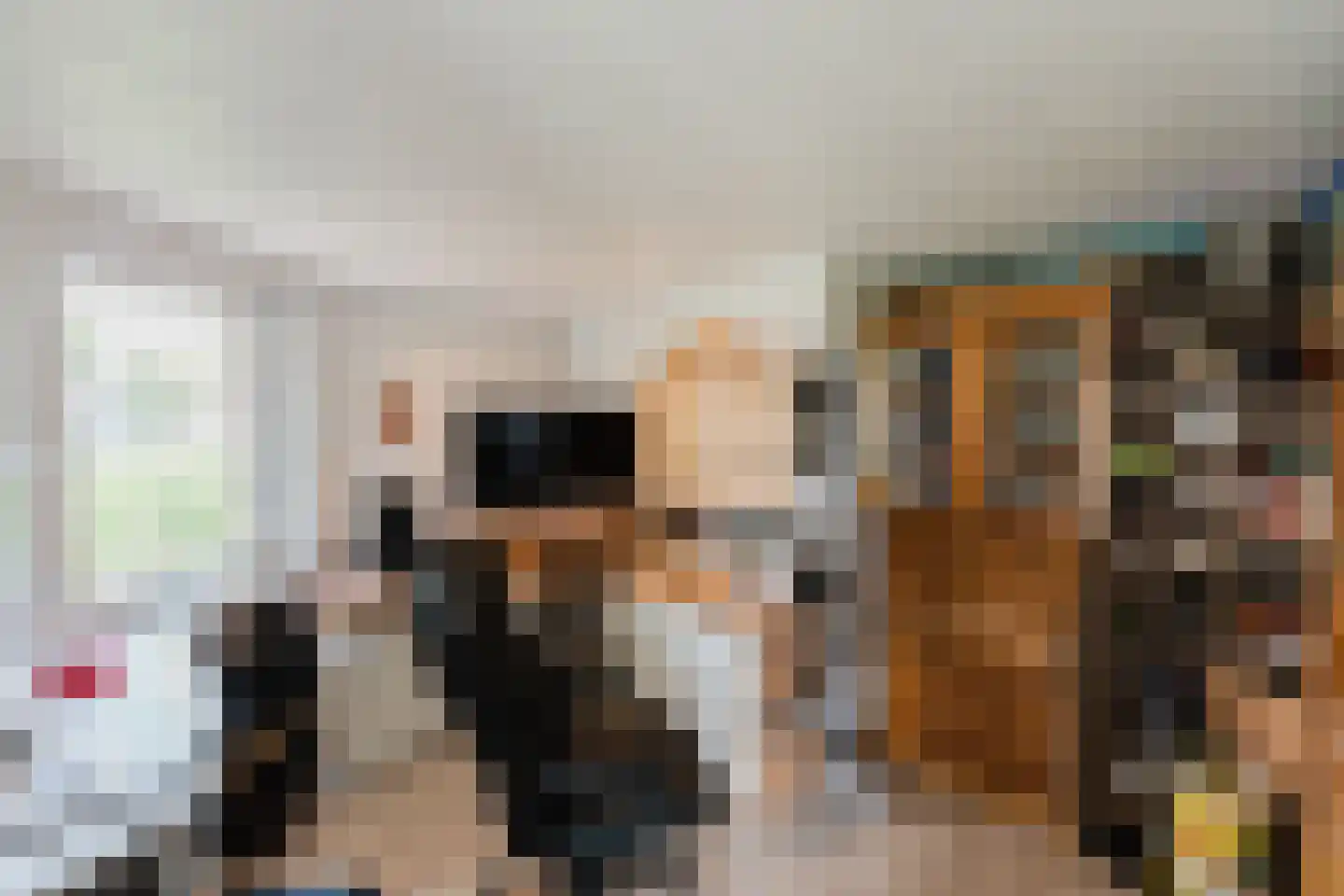 Laar 14 Bladel thumbnail 8