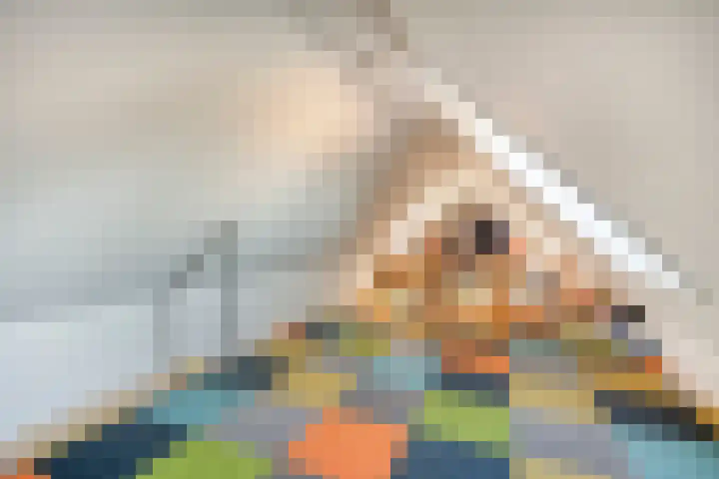 Laar 15 Nistelrode thumbnail 22