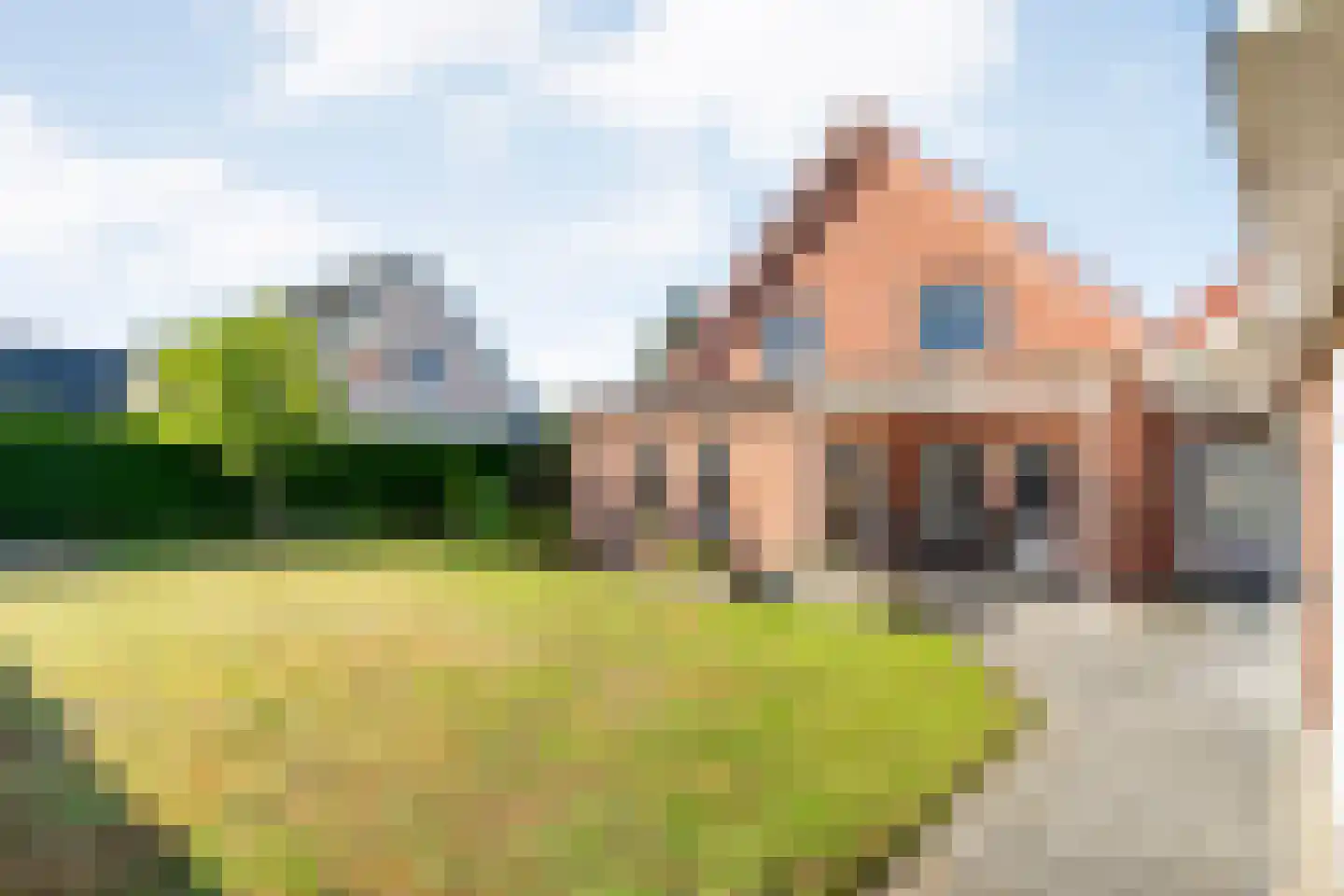 Laar 15 Nistelrode thumbnail 23