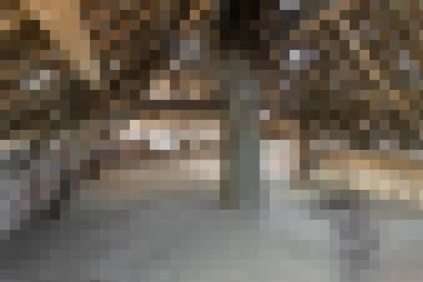 Laar 15 Wijnandsrade thumbnail 33