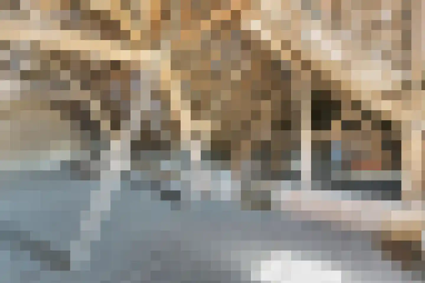 Laar 15 Wijnandsrade thumbnail 35