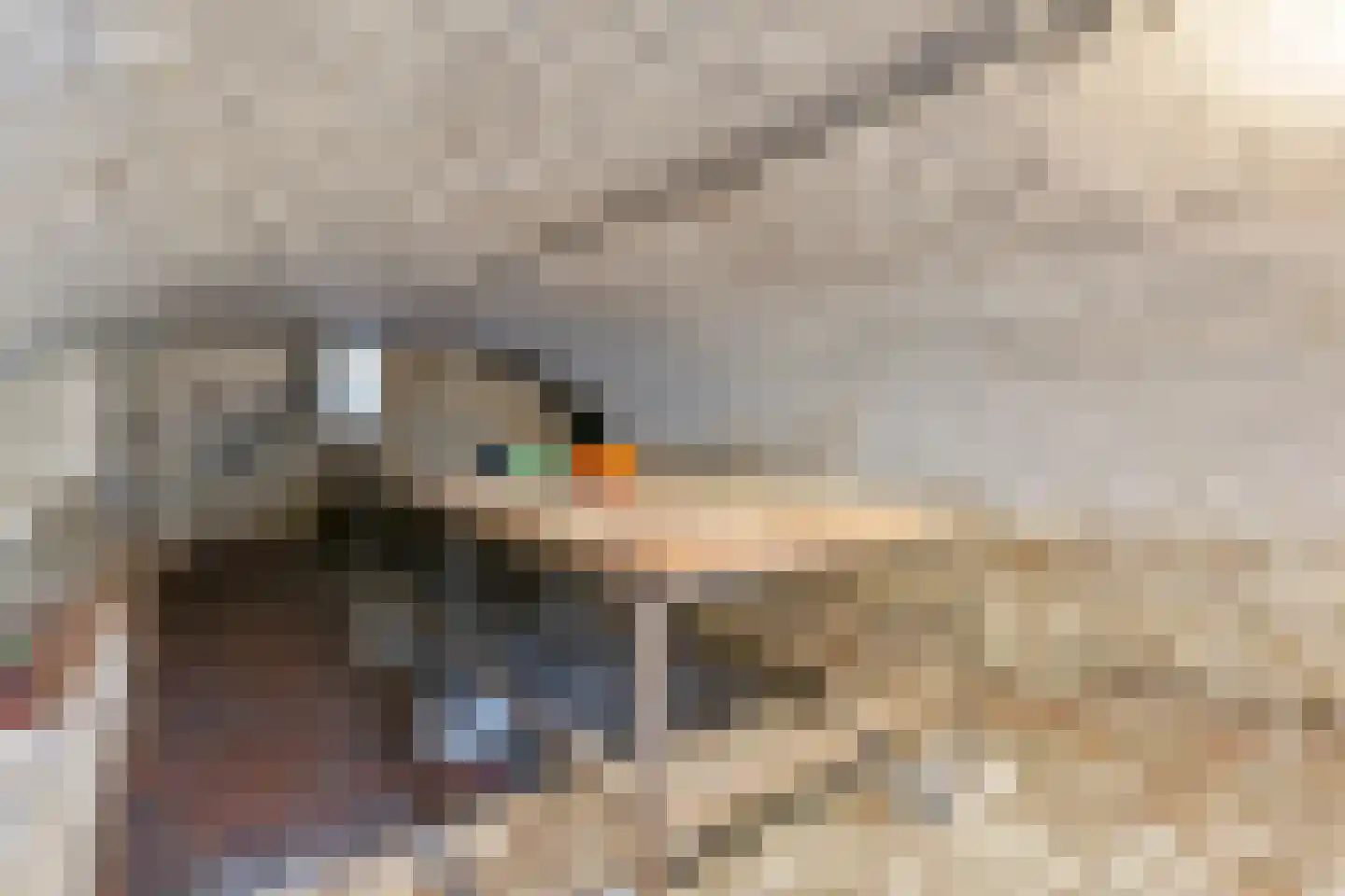 Laar 15 Wijnandsrade thumbnail 36