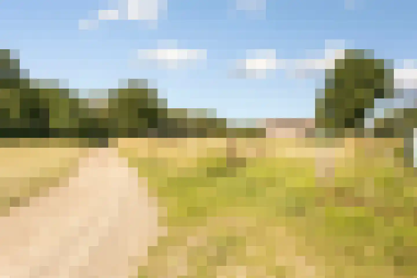 Laar 15 Wijnandsrade thumbnail 38