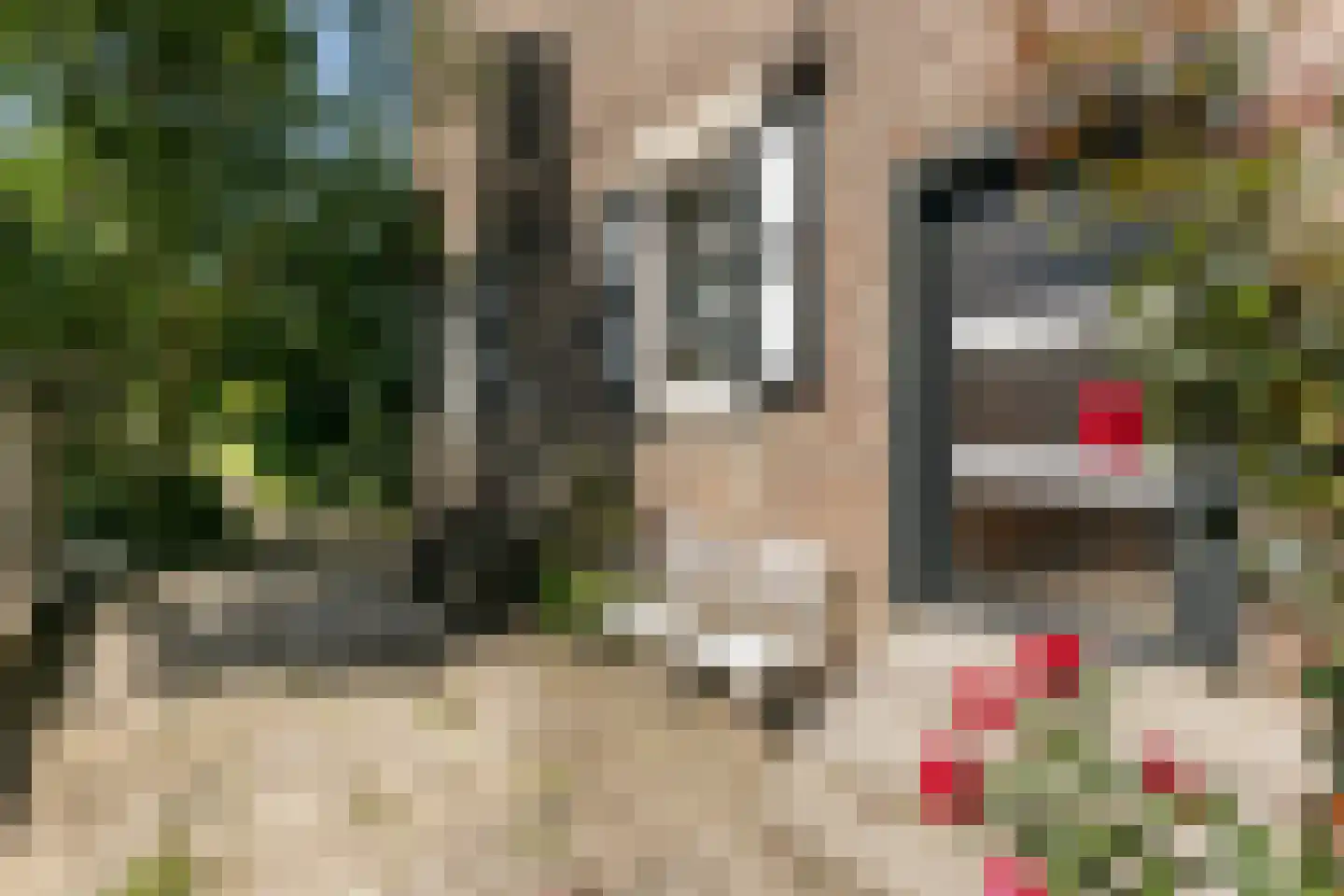 Laar 15 Wijnandsrade thumbnail 42