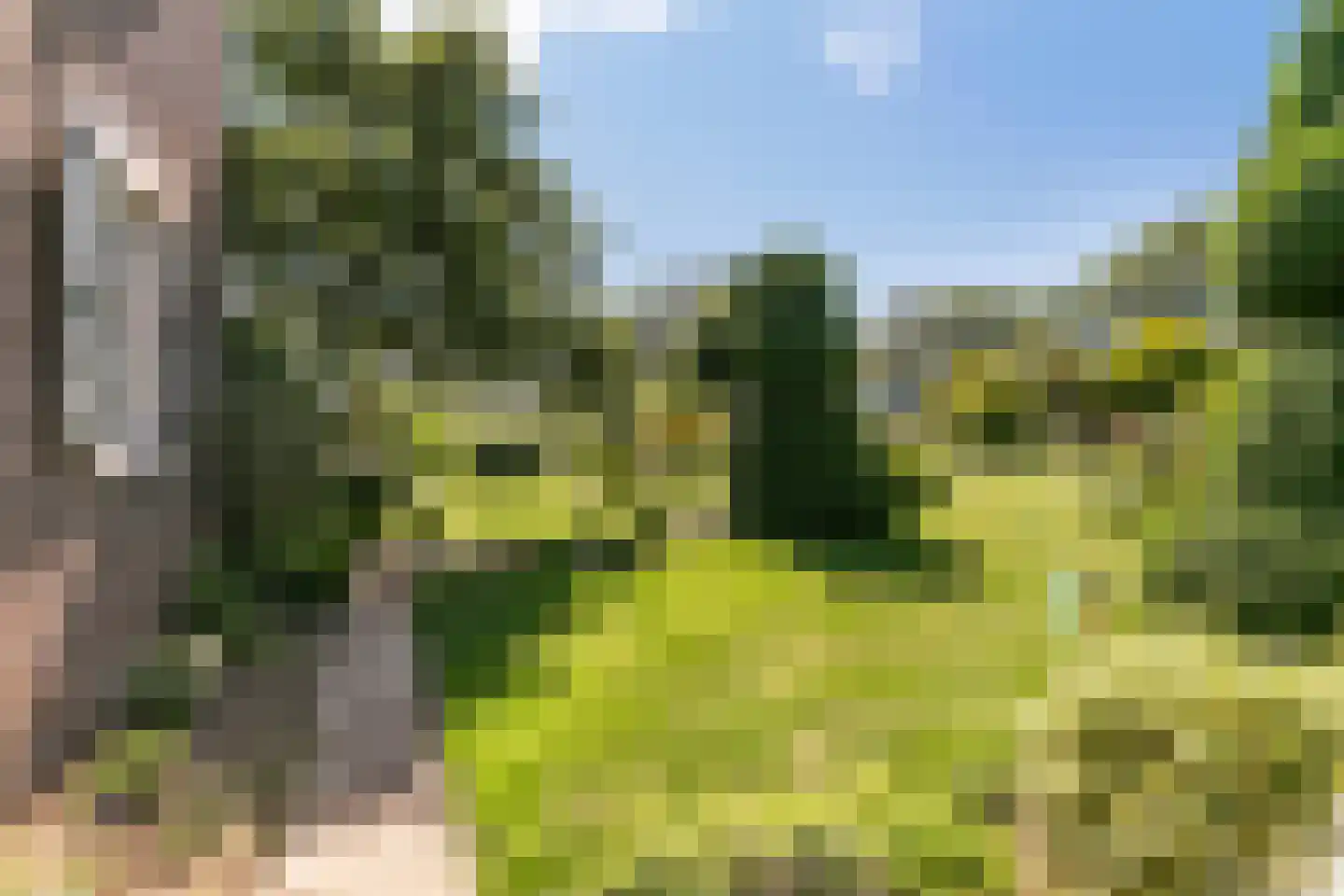 Laar 15 Wijnandsrade thumbnail 43