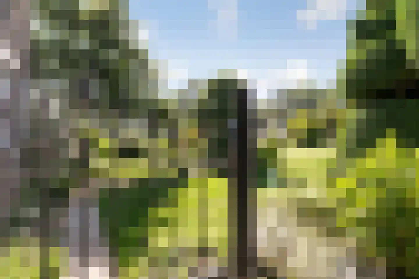 Laar 15 Wijnandsrade thumbnail 44